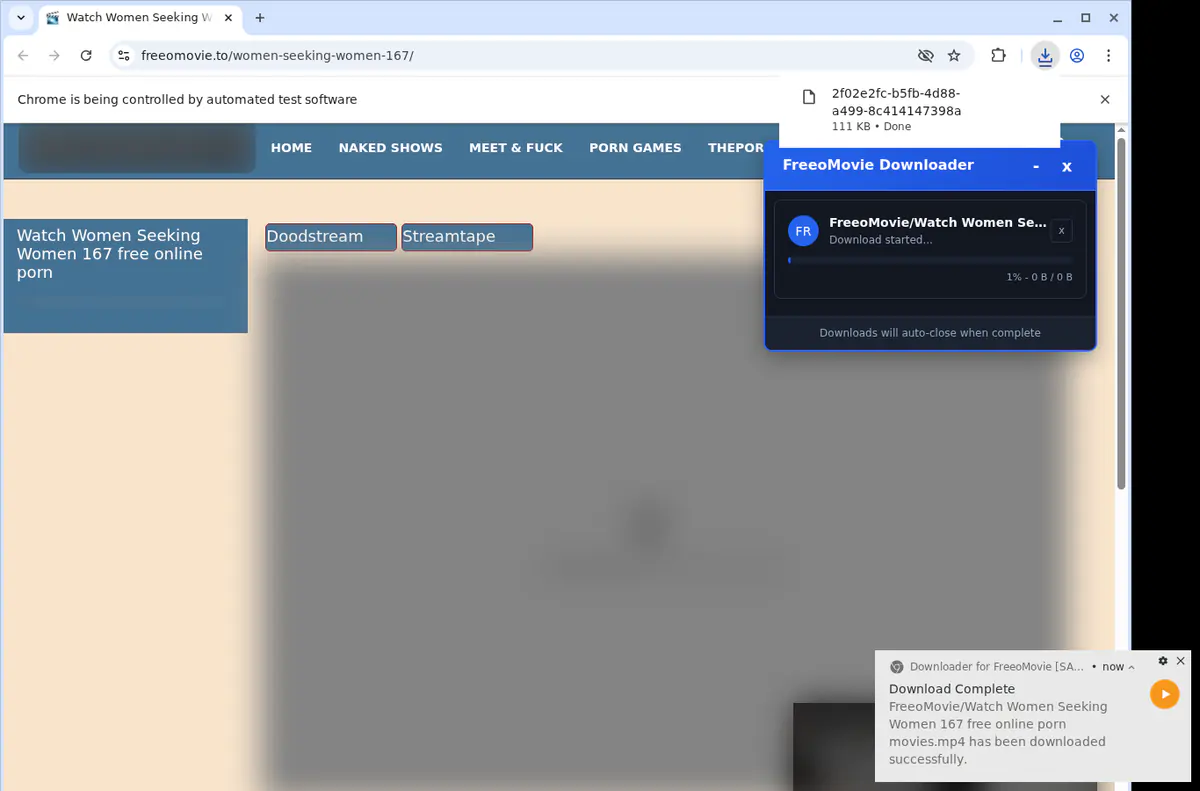 Freeomovie Video Downloader screenshot 2