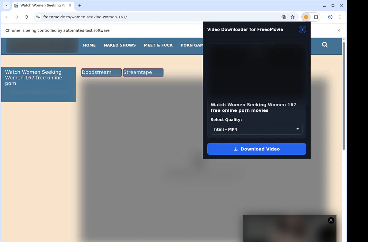 Freeomovie Video Downloader screenshot 3